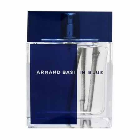 Armand Basi In Blue