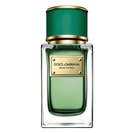 Dolce&Gabbana Velvet Cypress