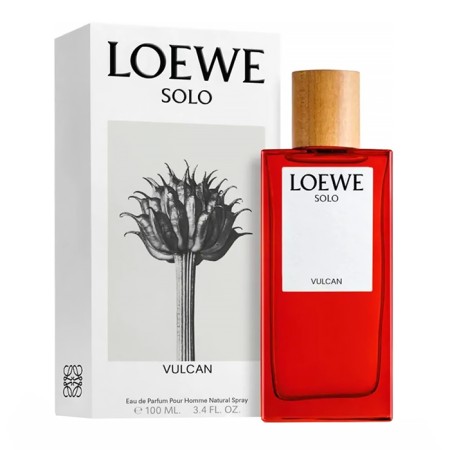 Loewe Solo Vulcan